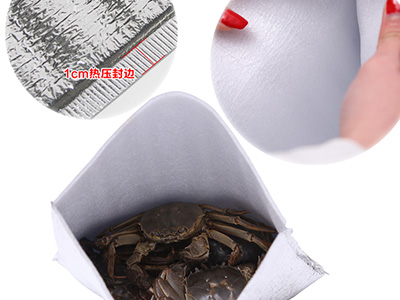 一次性铝箔保温袋 一次性铝箔保温袋