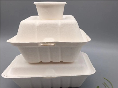 一次性餐盒 一次性餐盒
